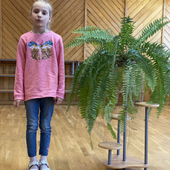 Pavasara dzejoļu konkurss - 