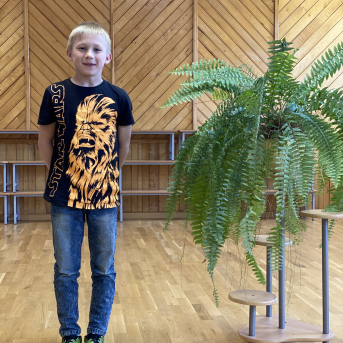 Pavasara dzejoļu konkurss - 