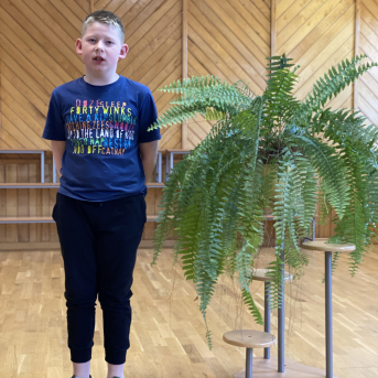 Pavasara dzejoļu konkurss - 