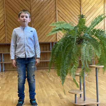 Pavasara dzejoļu konkurss - 