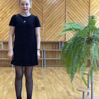 Pavasara dzejoļu konkurss - 