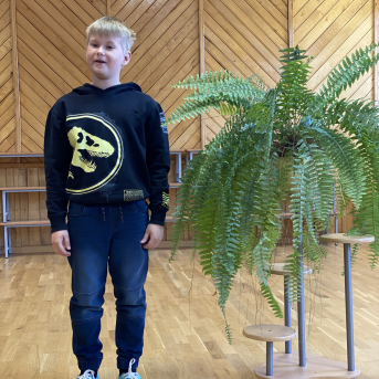 Pavasara dzejoļu konkurss - 