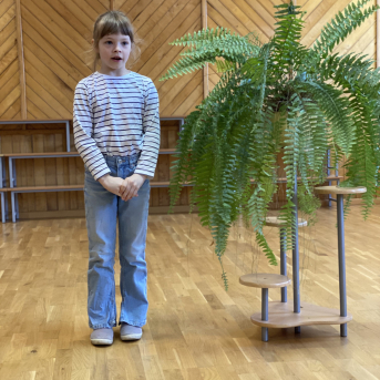 Pavasara dzejoļu konkurss - 