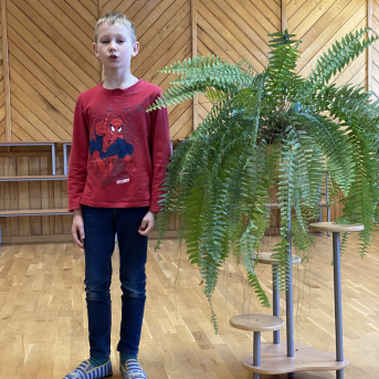 Pavasara dzejoļu konkurss - 