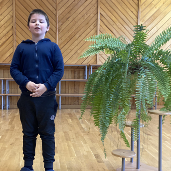 Pavasara dzejoļu konkurss - 