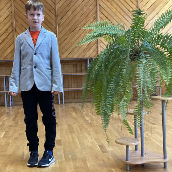 Pavasara dzejoļu konkurss - 