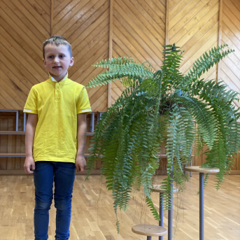 Pavasara dzejoļu konkurss - 