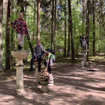 Zaļā josta Tērvetē - 