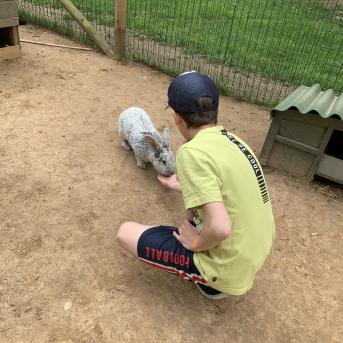 Zaļā josta Tērvetē - 