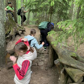 Zaļā josta Tērvetē - 