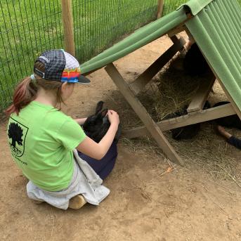 Zaļā josta Tērvetē - 