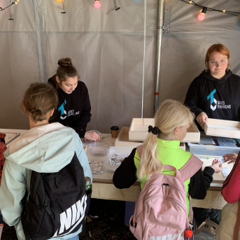 Zaļā josta Tērvetē - 