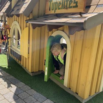 Zaļā josta Tērvetē - 