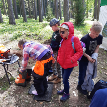 Zaļā josta Tērvetē - 