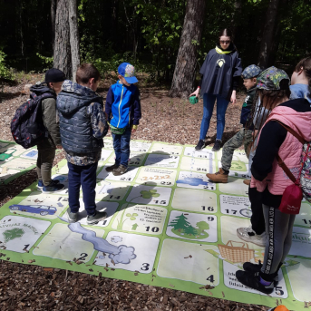 Zaļā josta Tērvetē - 