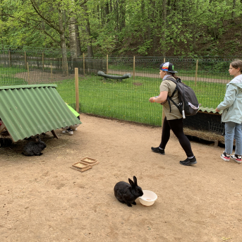 Zaļā josta Tērvetē - 