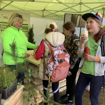 Zaļā josta Tērvetē - 