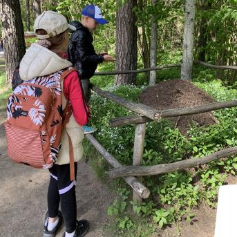 Zaļā josta Tērvetē - 