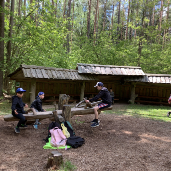 Zaļā josta Tērvetē - 