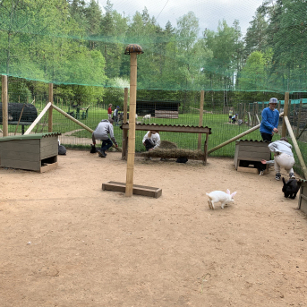 Zaļā josta Tērvetē - 