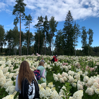 Klašu ekskursiju, pārgājienu un saliedēšanās aktivitāšu diena - 