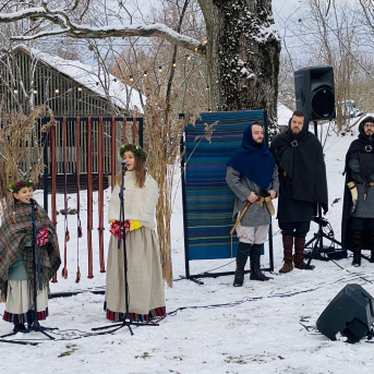 Eiropas gada koks Latvijā 2022 - Sējas dižozols - 