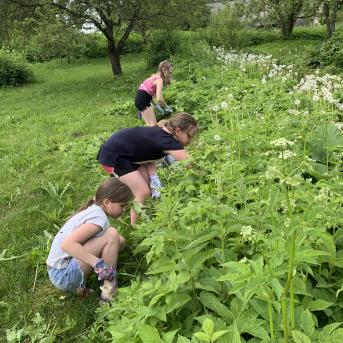 Vasaras piedzīvojums Kundziņos - 