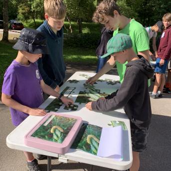 Vasaras nometne Pūrē - 