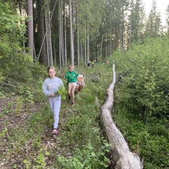 Vasaras piedzīvojums Kundziņos - 