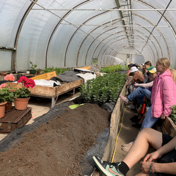 Vasaras nometne Pūrē - 