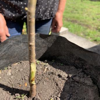 Vasaras nometne Pūrē - 