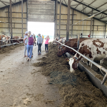 Vasaras nometne Pūrē - 