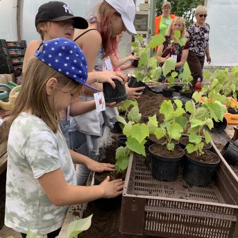 Vasaras nometne Pūrē - 