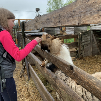 Ekskursija Priežkalnos - 