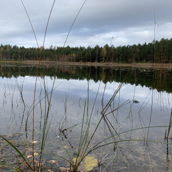 Pārgājiens uz Ķirezeru - 
