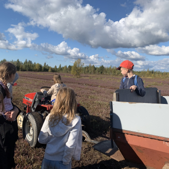 Laugas purva pārgājiens - 