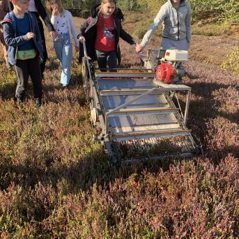 Laugas purva pārgājiens - 