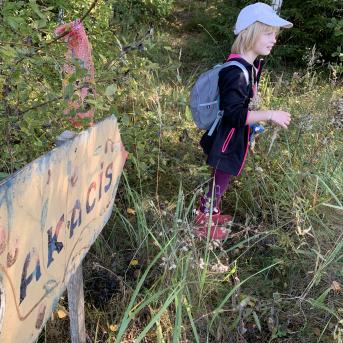 Laugas purva pārgājiens - 