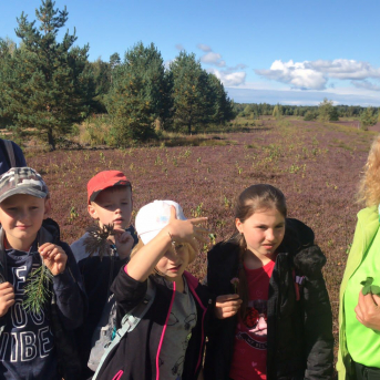 Laugas purva pārgājiens - 