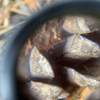 Pārgājiens uz Ķirezeru - 