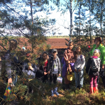 Laugas purva pārgājiens - 