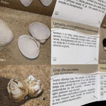 Pārgājiens uz Ķirezeru - 