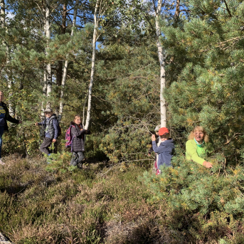 Laugas purva pārgājiens - 