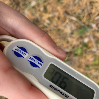 Pārgājiens uz Ķirezeru - 