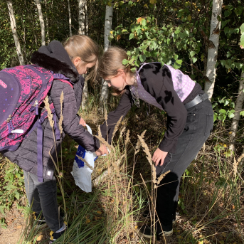 Laugas purva pārgājiens - 