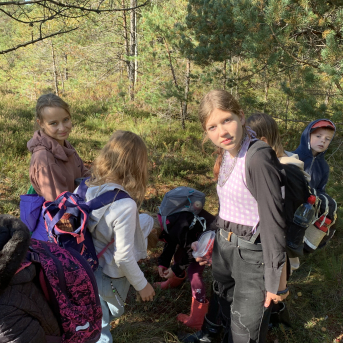 Laugas purva pārgājiens - 