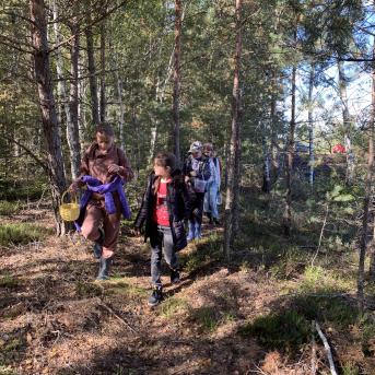 Laugas purva pārgājiens - 