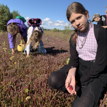 Laugas purva pārgājiens - 