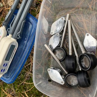 Pārgājiens uz Ķirezeru - 