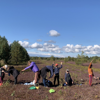 Laugas purva pārgājiens - 